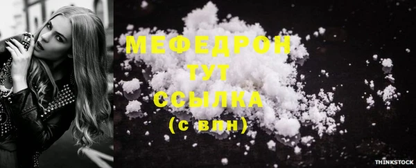 индика Богородск