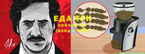 индика Богородск