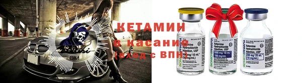 шишки Белокуриха
