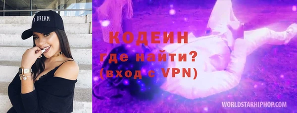 шишки Белокуриха
