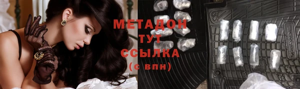 шишки Белокуриха