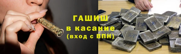 шишки Белокуриха