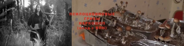 соль ск Белоозёрский