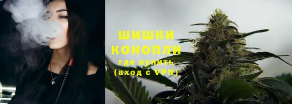 гидропоника Богданович