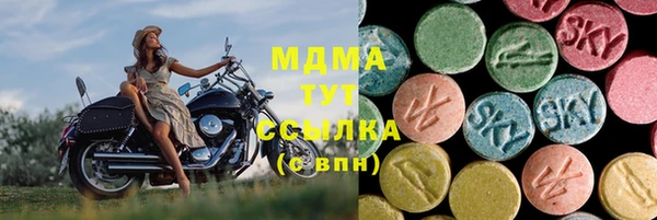 индика Богородск
