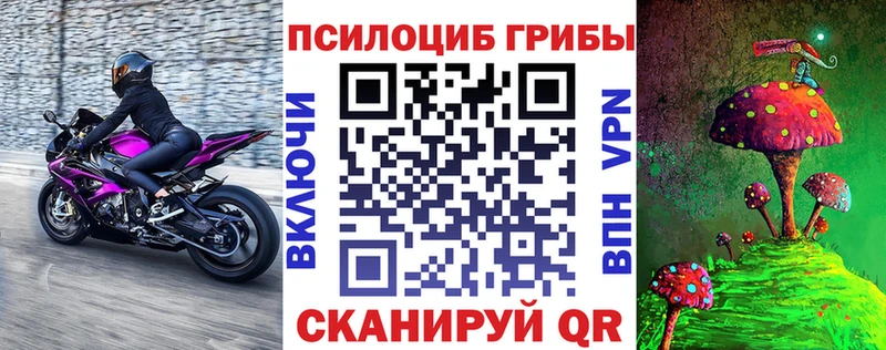 наркотики  Биробиджан  Галлюциногенные грибы GOLDEN TEACHER 