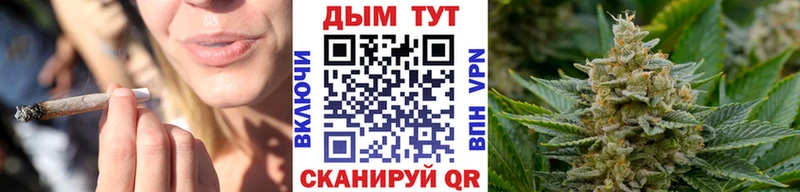 Бошки Шишки план  где купить наркоту  Биробиджан 